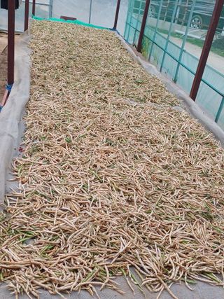 이철우님의 기타작물 · 자유게시판 작성글 사진