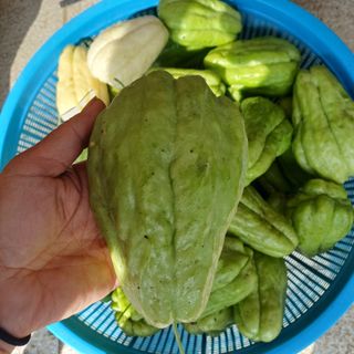 삼성농산님의 자유주제 · 자유게시판 작성글 사진