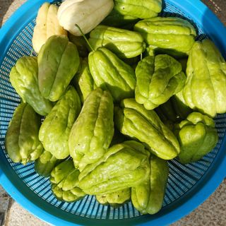 삼성농산님의 자유주제 · 자유게시판 작성글 사진