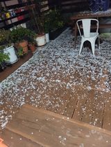 팜모닝 자유주제·자유게시판 게시글 이미지