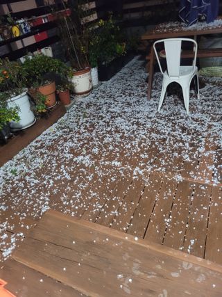 박산숙농부님의 자유주제 · 자유게시판 작성글 사진