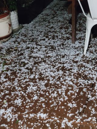 박산숙농부님의 자유주제 · 자유게시판 작성글 사진