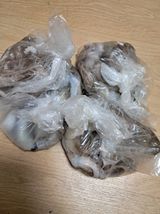 팜모닝 자유주제·자유게시판 게시글 이미지