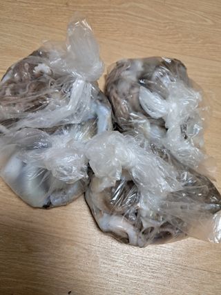 유경희님의 자유주제 · 자유게시판 작성글 사진