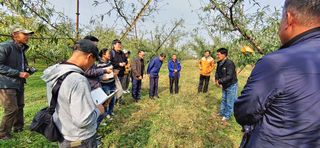 달맛햇복숭아농원님의 복숭아 · 자유게시판 작성글 사진