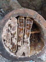 팜모닝 자유주제·자유게시판 게시글 이미지