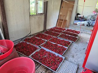 이정희님의 [팜춘문예] 짧은 시 쓰기 · 참여글 작성글 사진