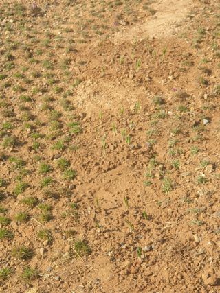 최순님의 마늘 · 일상 작성글 사진