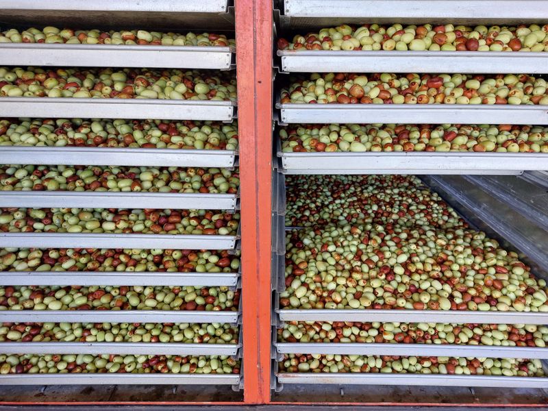 손윤영/수채화농원님의 장터 판매 상품 [특초1kg] 첨부 사진