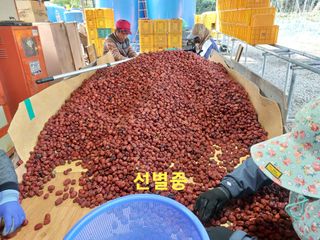 손윤영/수채화농원님의 작성글 사진