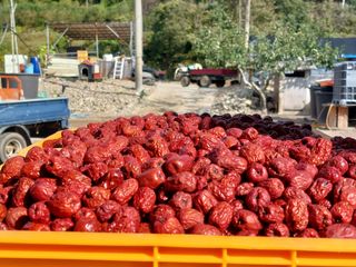 손윤영/수채화농원님의 작성글 사진