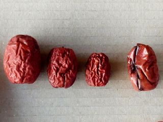 손윤영/수채화농원님의 작성글 사진