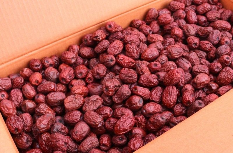 손윤영/수채화농원님의 장터 판매 상품 [건대추 실속형1kg(수채화농원:쥬쥬팜)] 첨부 사진