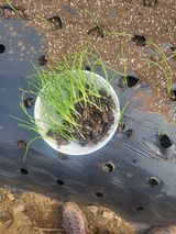 팜모닝 [팜춘문예] 짧은 시 쓰기·참여글 게시글 이미지