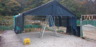 밤까시 여주농장님의 자유주제 · 자유게시판 작성글 사진