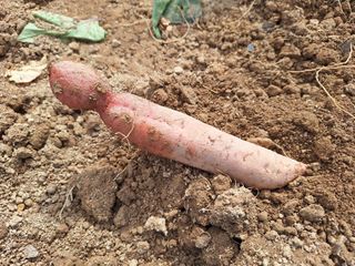 초원농원님의 [팜춘문예] 짧은 시 쓰기 · 참여글 작성글 사진