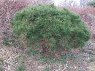 한학수님의 작성글 사진