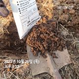 팜모닝 포도·영농일지 게시글 이미지