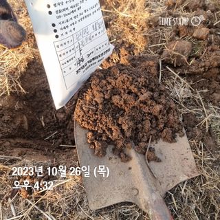 달빛은혜농장님의 포도 · 영농일지 작성글 사진