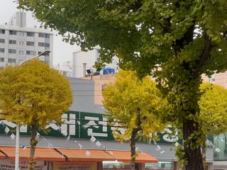 이미옥님의 벼 · 영농일지 작성글 사진