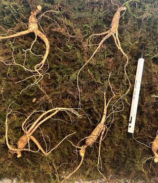 진상빈님의 작성글 사진