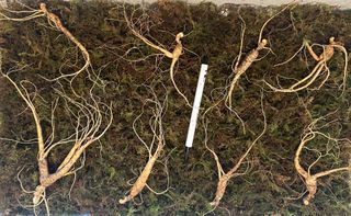 진상빈님의 작성글 사진