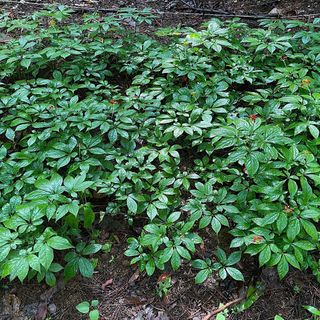 진상빈님의 작성글 사진