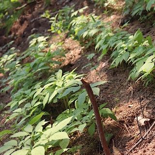 진상빈님의 작성글 사진