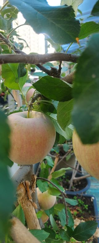 복주농장님의 자유주제 · 사진전 작성글 사진