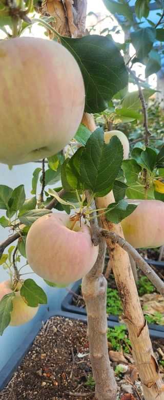 복주농장님의 자유주제 · 사진전 작성글 사진