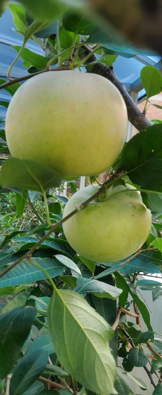 복주농장님의 자유주제 · 사진전 작성글 사진