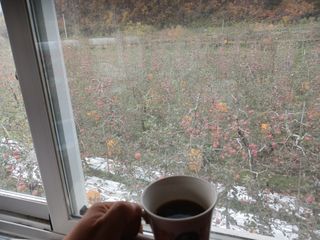 알 수 없음님의 자유주제 · 자유게시판 작성글 사진