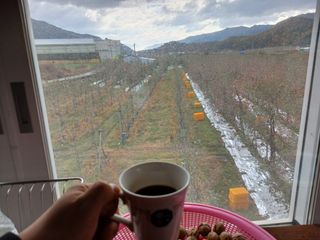 알 수 없음님의 자유주제 · 자유게시판 작성글 사진