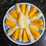 김지연님의 토마토·일상 작성글 사진