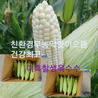장관덕님의 작성글 사진