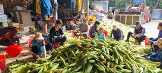 장관덕님의 작성글 사진