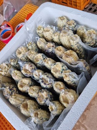 장관덕님의 작성글 사진