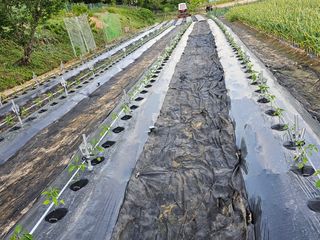바이털사인님의 작성글 사진