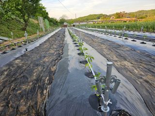 바이털사인님의 작성글 사진