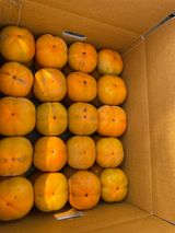 팜모닝 감·자유게시판 게시글 이미지