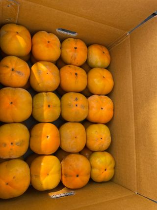 오디님의 감 · 자유게시판 작성글 사진