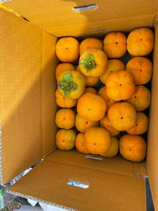 오디님의 감 · 자유게시판 작성글 사진