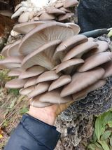 팜모닝 [팜춘문예] 짧은 시 쓰기·참여글 게시글 이미지