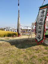 팜모닝 벼·자유게시판 게시글 이미지