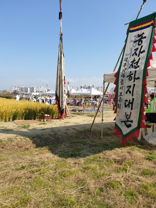 양파5749님의 벼 · 자유게시판 작성글 사진