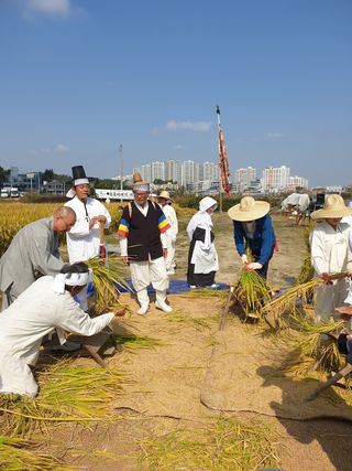 양파5749님의 벼 · 자유게시판 작성글 사진