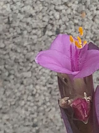 이미옥님의 [팜춘문예] 짧은 시 쓰기 · 참여글 작성글 사진