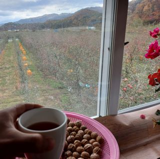알 수 없음님의 우리동네 · 동네수다 작성글 사진