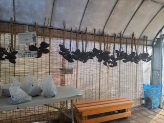 윤석돈님의 기타작물 · 영농일지 작성글 사진