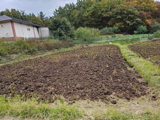 설아농원님의 복숭아 · 영농일지 작성글 사진